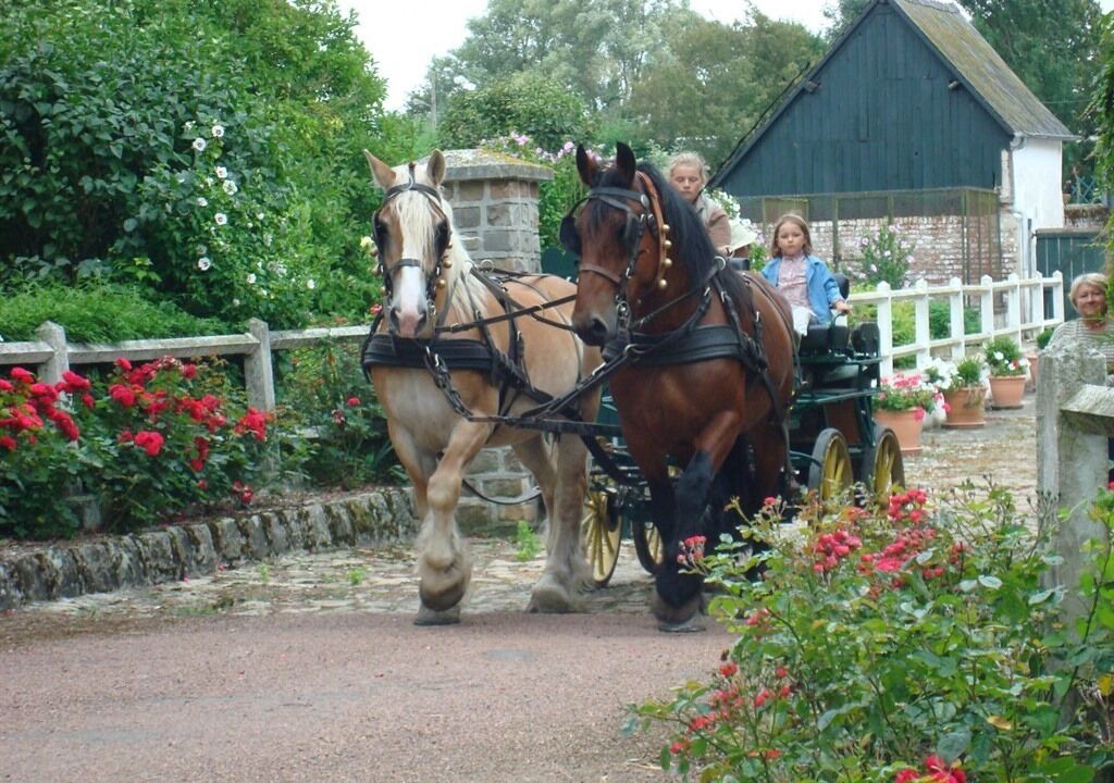 Photo of Outdoor in Trefcon