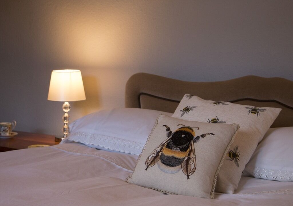 Photo of Others in Sherborne