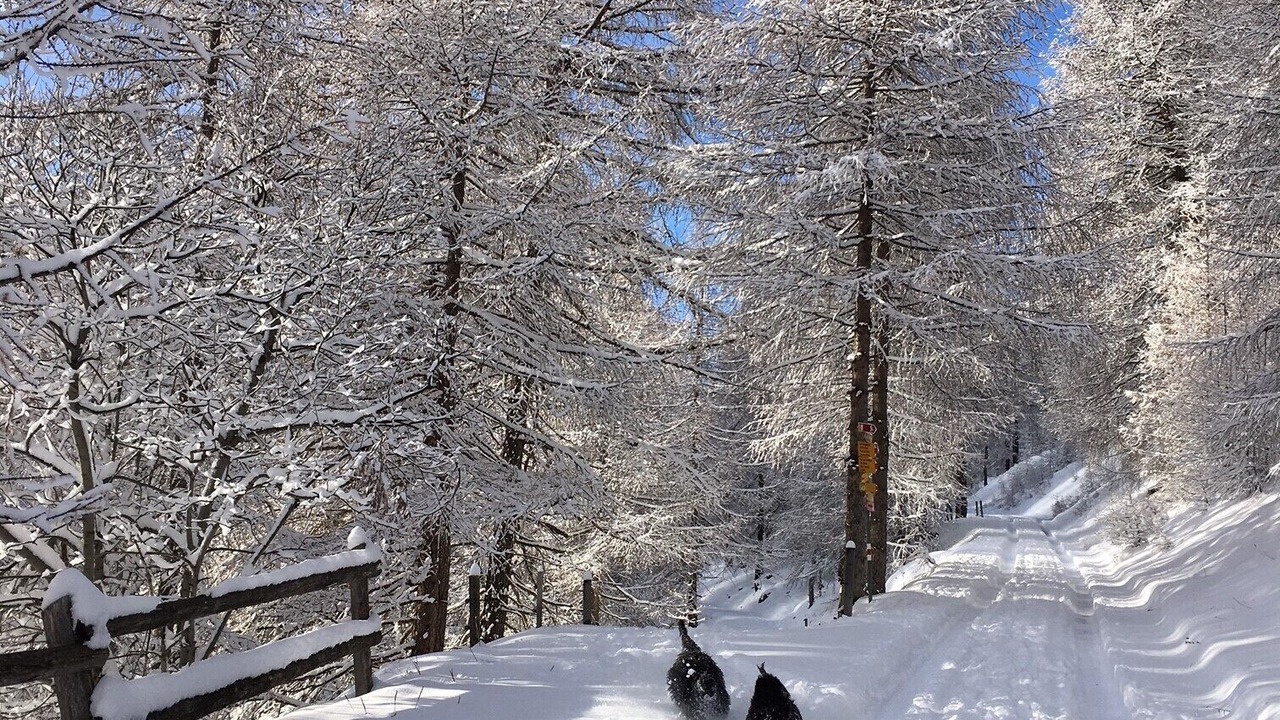 Photo of Others in Val Muestair