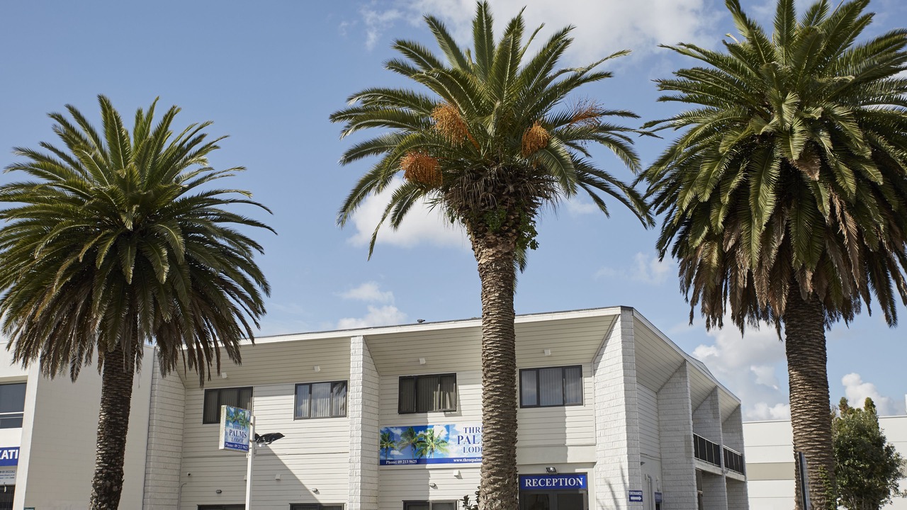 Photo of Others in Papatoetoe