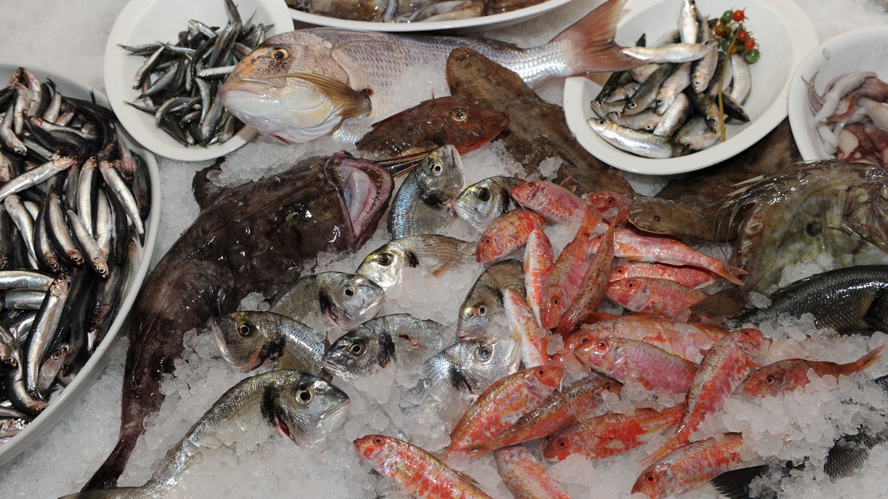 Photo of Others in Pula
