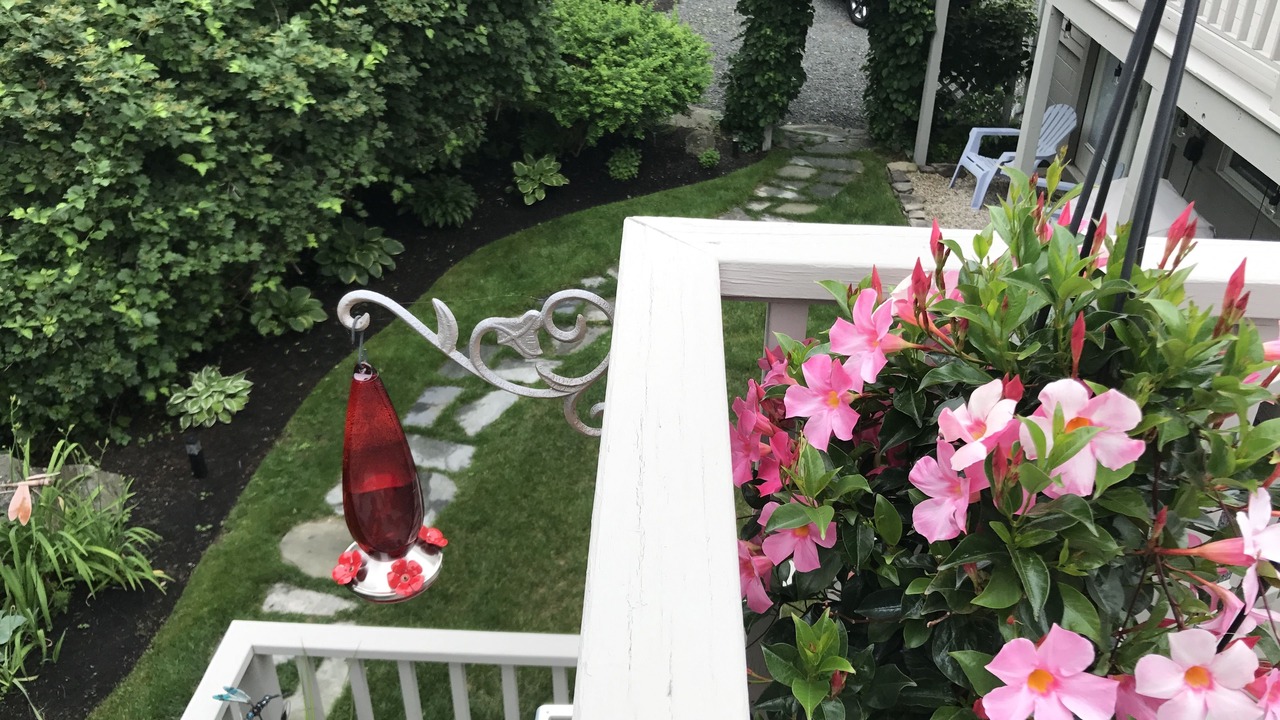 Photo of Outdoor in Ogunquit