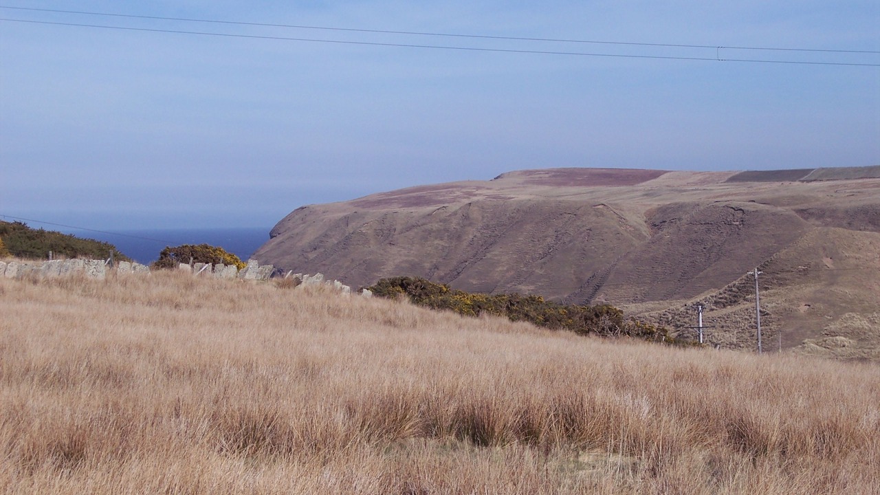 Photo of Others in Strathy