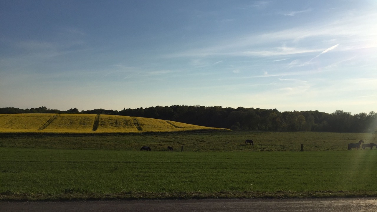 Photo of Others in Oster Ulslev