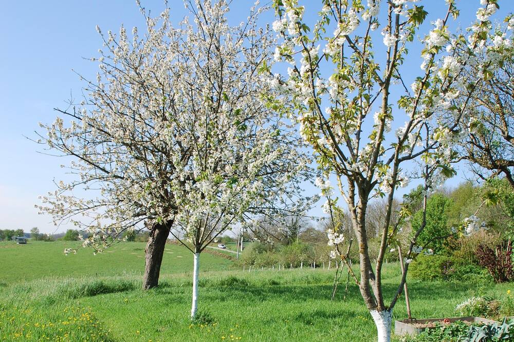 Photo of Outdoor in Langon