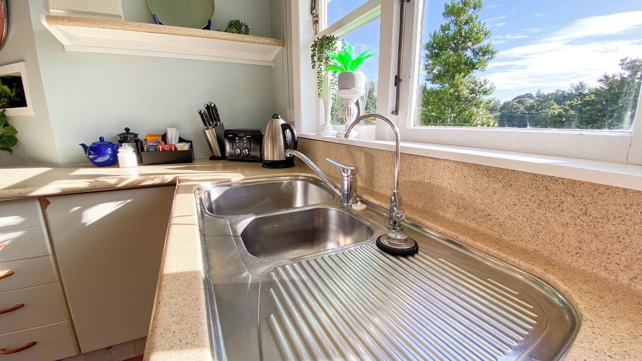 Photo of Others in Parua Bay