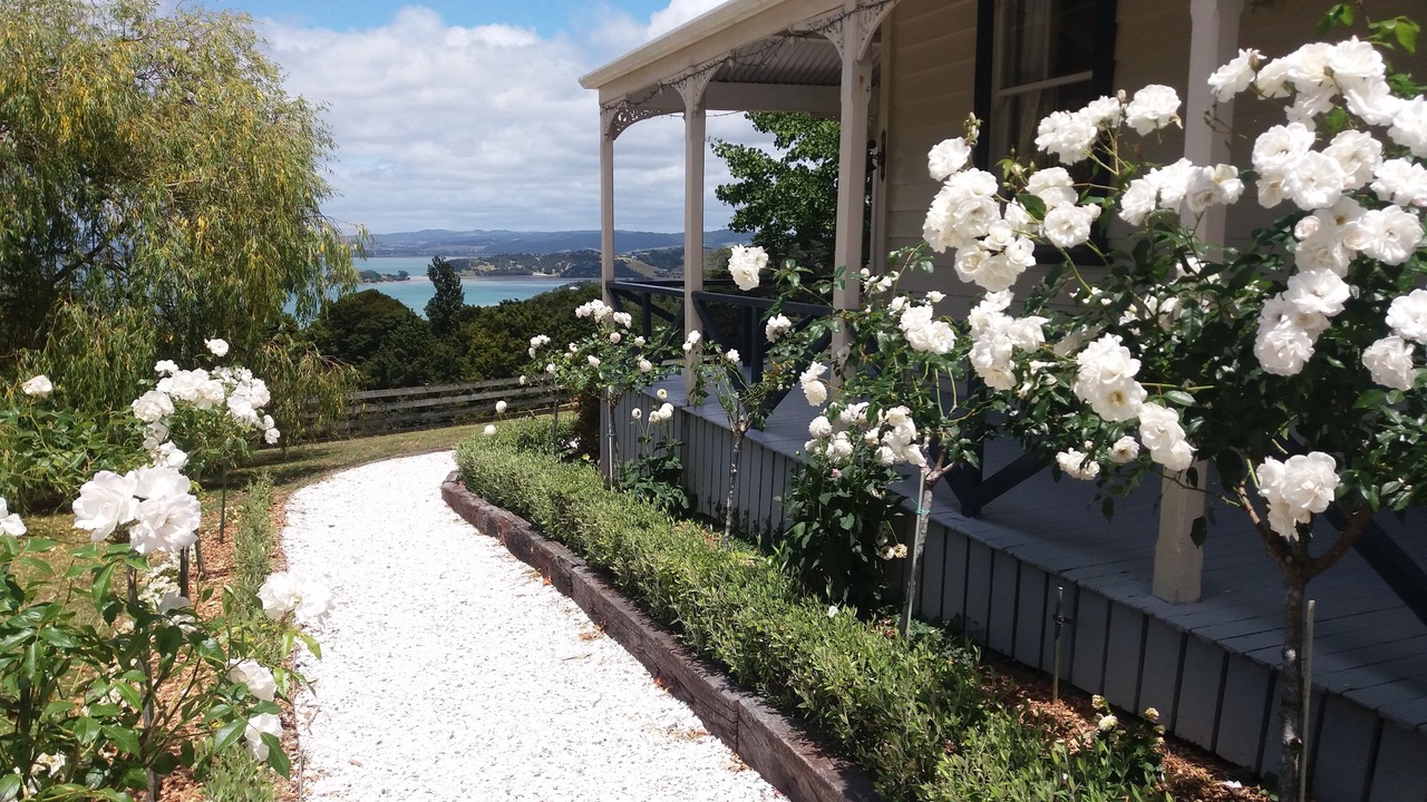 Photo of Outdoor in Parua Bay