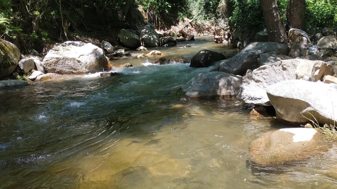 Photo of Others in Brousses-et-Villaret