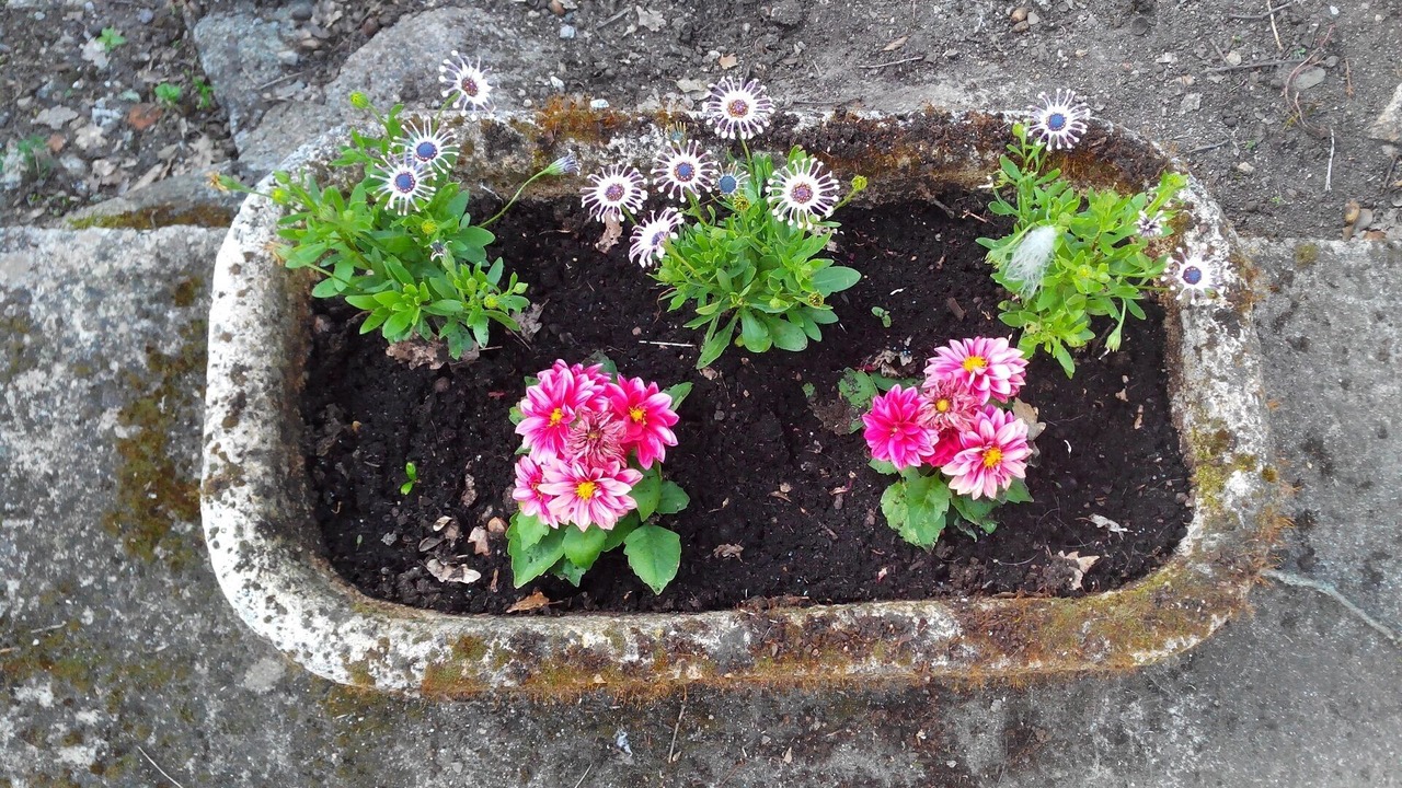 Photo of Outdoor in Brousses-et-Villaret