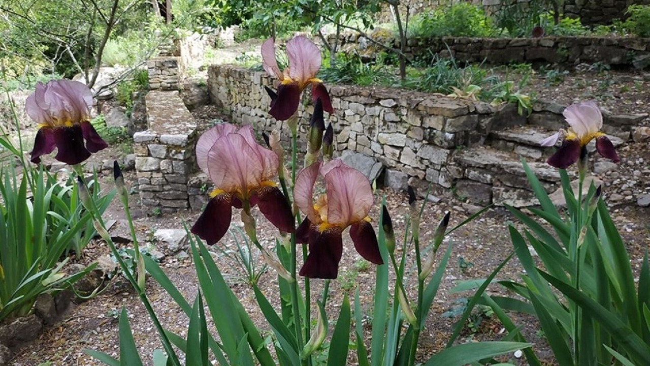 Photo of Outdoor in Brousses-et-Villaret