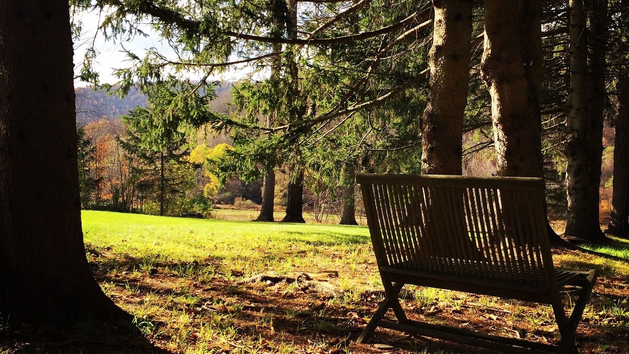 Photo of Outdoor in Bovina Center