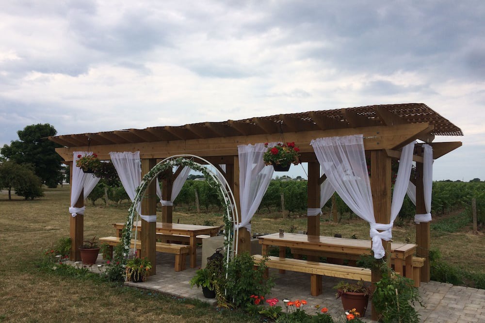 Photo of Outdoor in Virgil