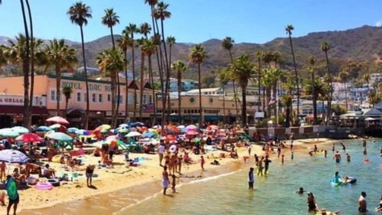 Photo of Others in Avalon