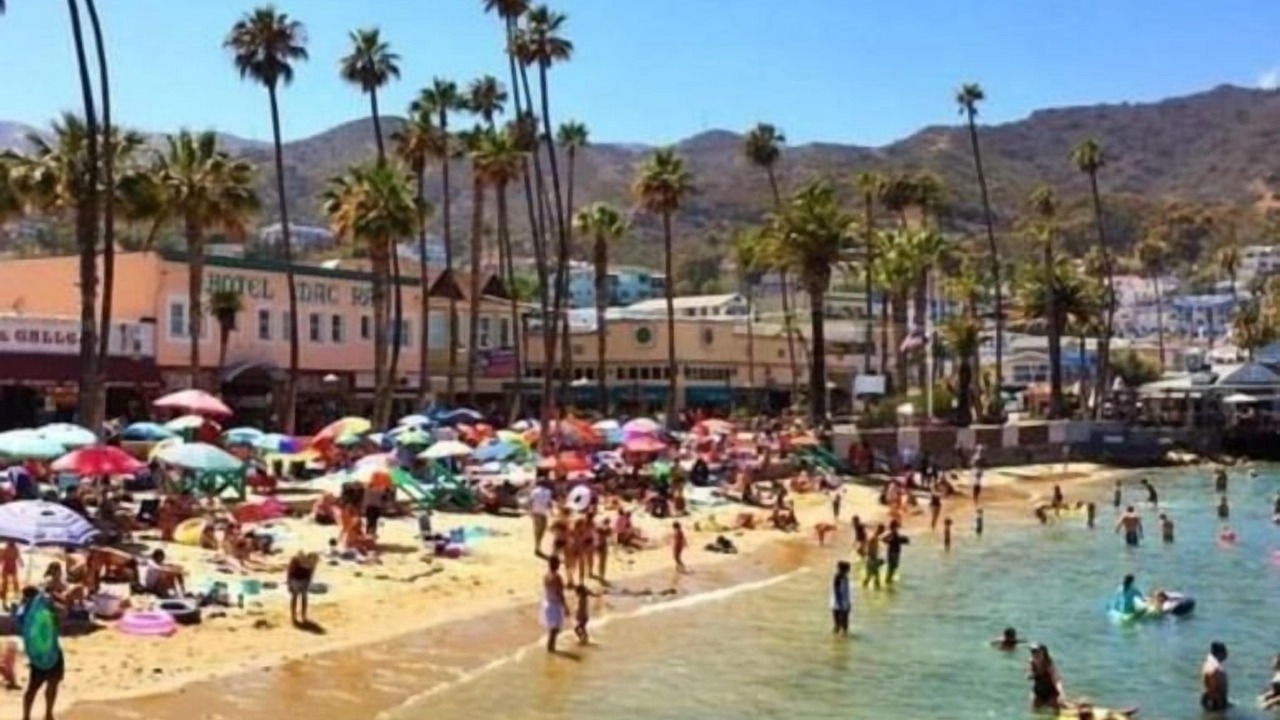 Photo of Others in Avalon