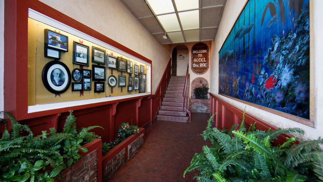 Photo of Others in Avalon