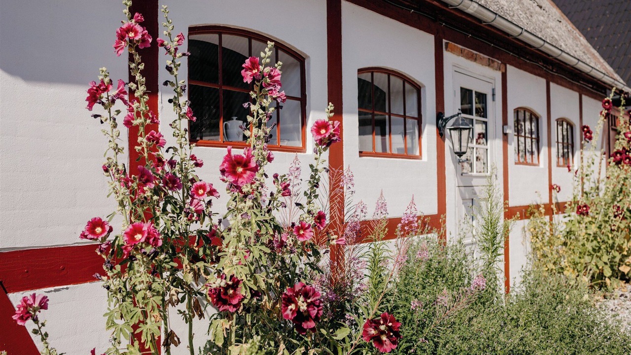 Photo of Outdoor in Stavreby