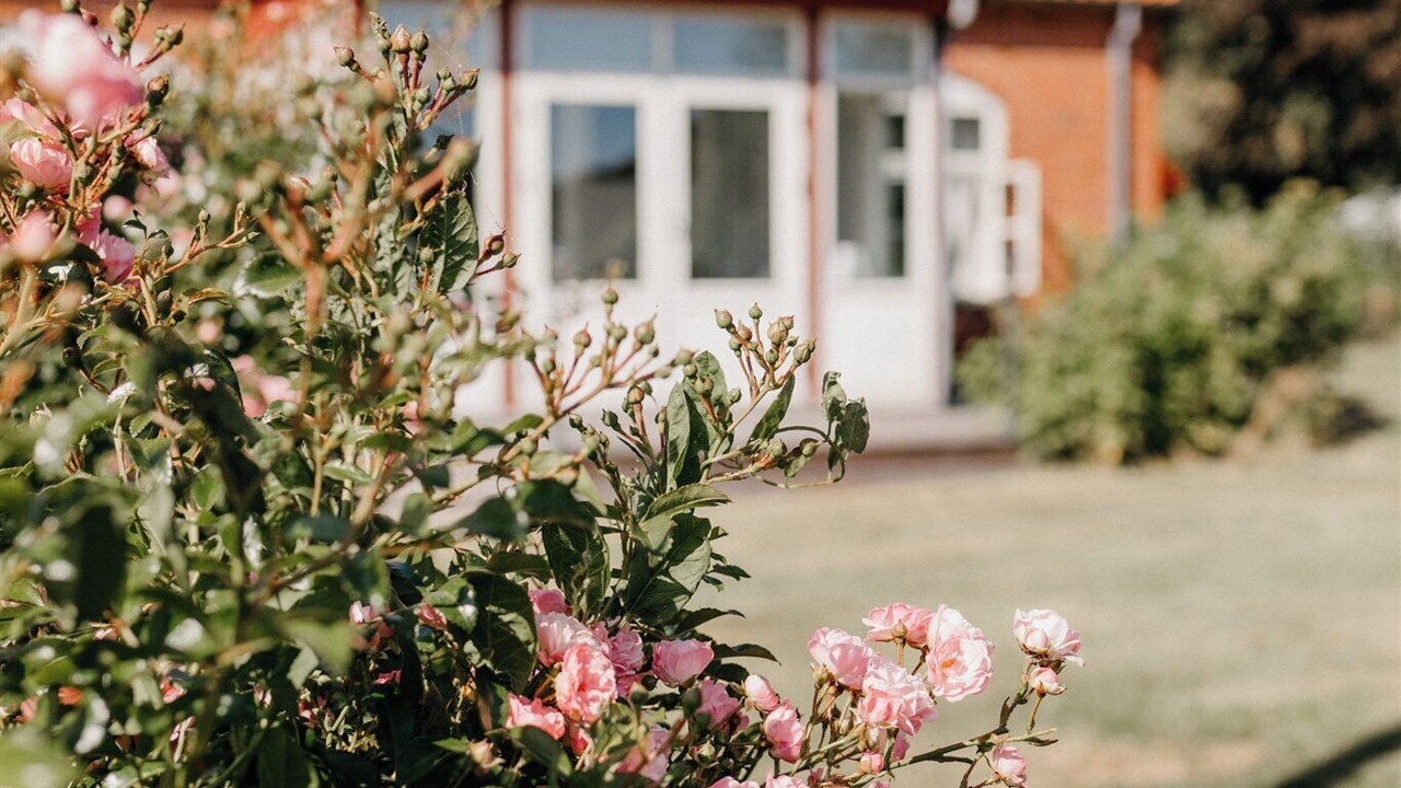 Photo of Outdoor in Stavreby