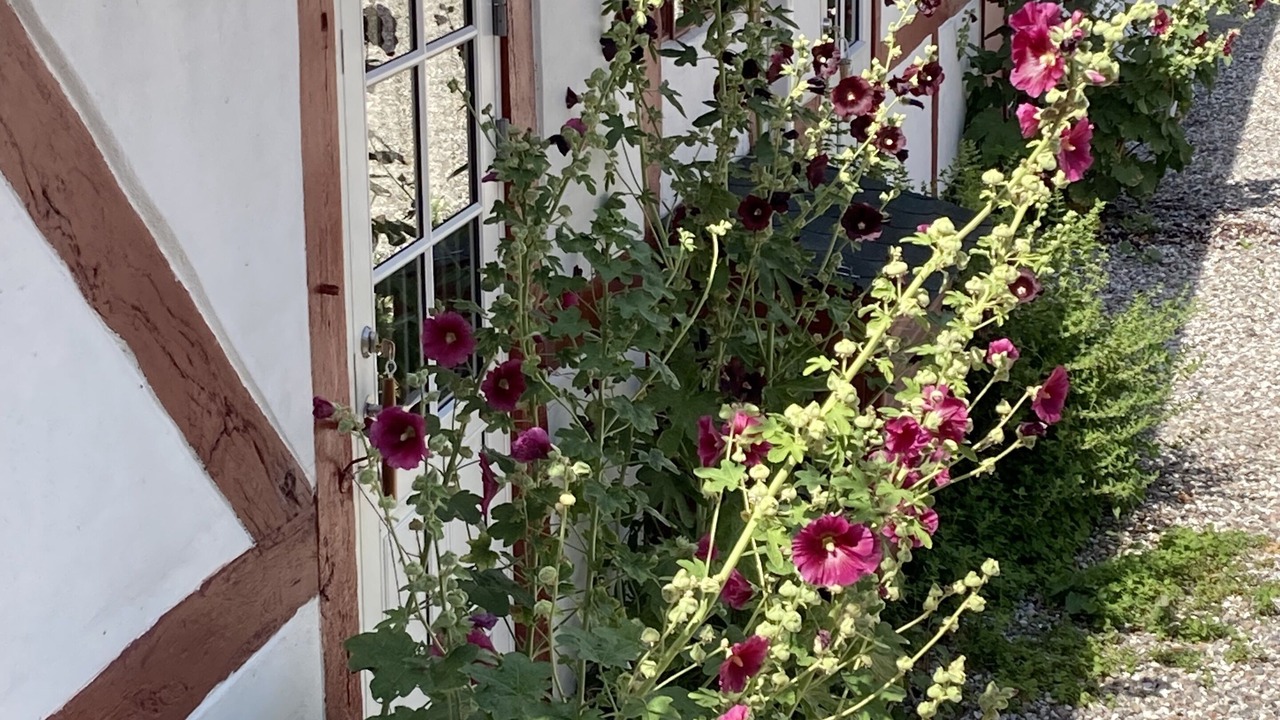 Photo of Outdoor in Stavreby