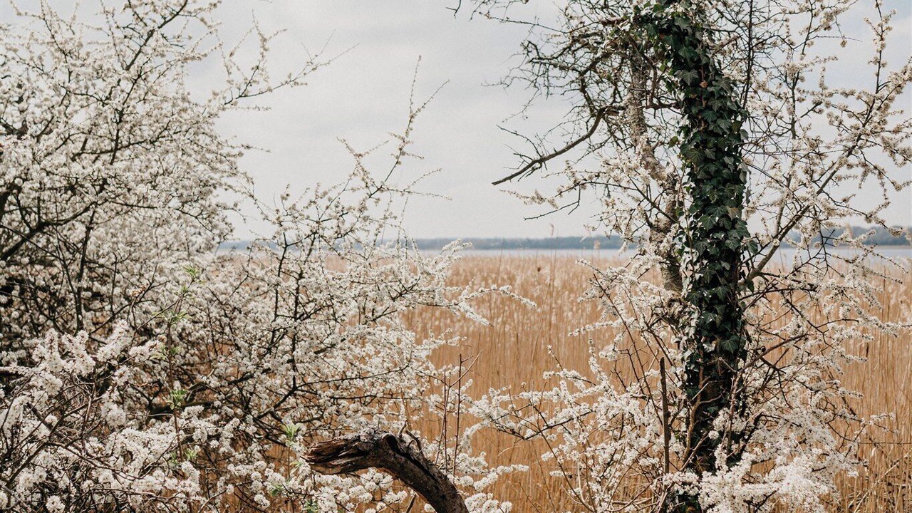 Photo of Outdoor in Stavreby