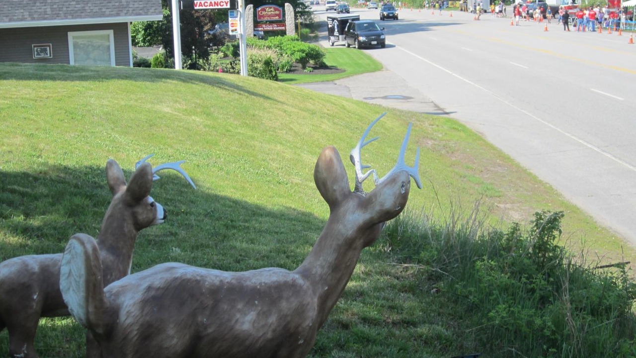 Photo of Outdoor in Kittery