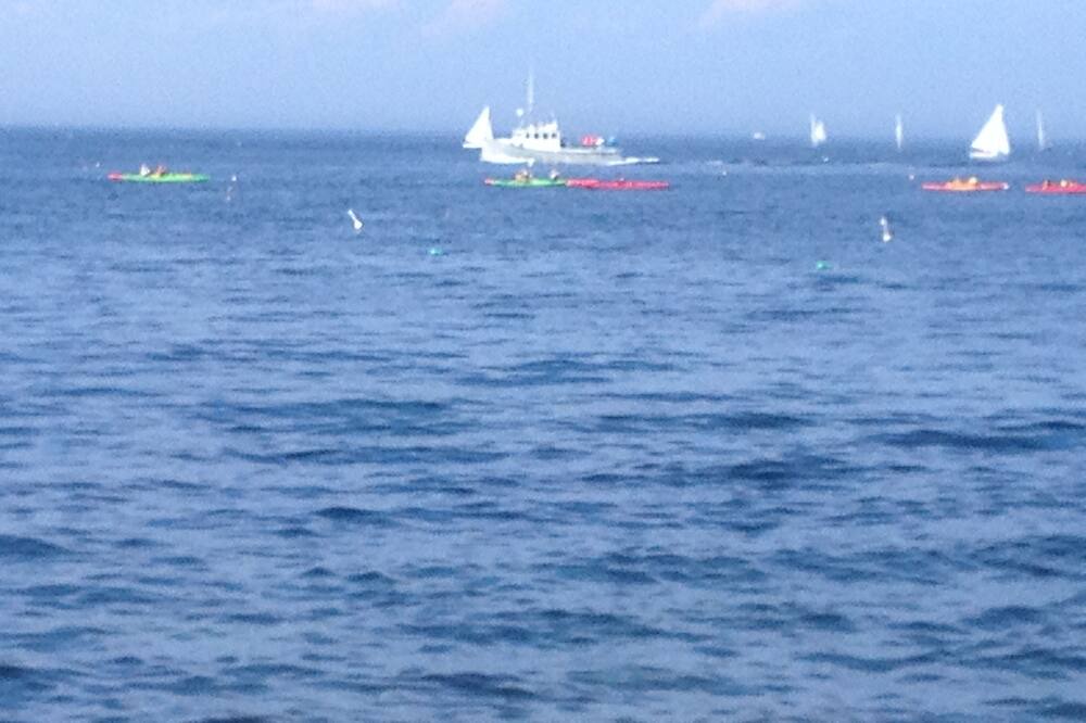 Photo of Others in Rockport