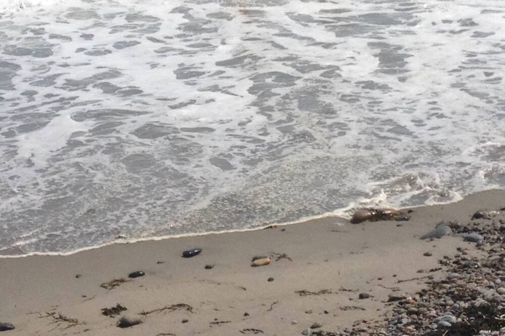 Photo of Others in Rockport