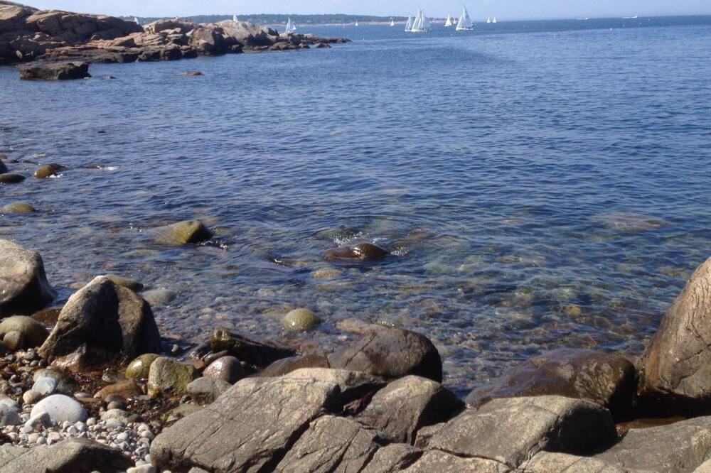 Photo of Others in Rockport