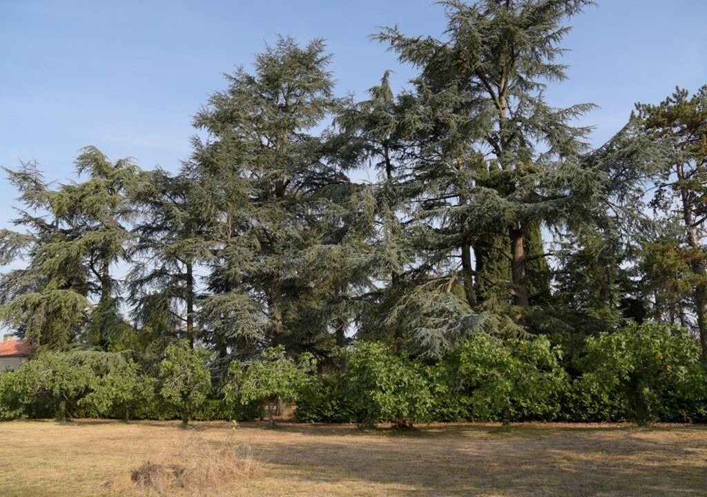 Photo of Outdoor in Marambat