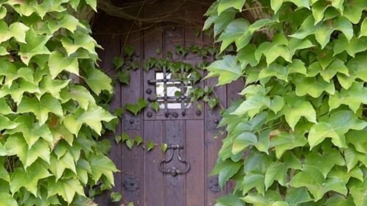 Photo of Others in Marambat