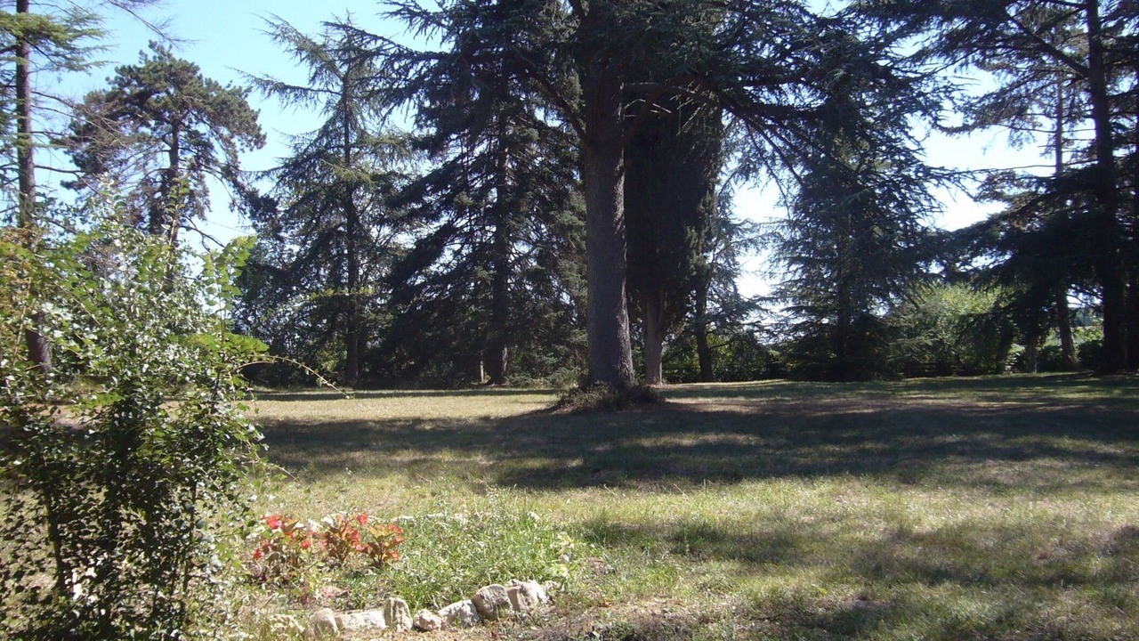 Photo of Outdoor in Marambat