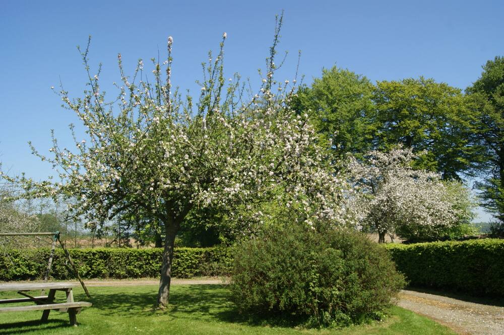 Photo of Outdoor in Bretteville-du-Grand Caux