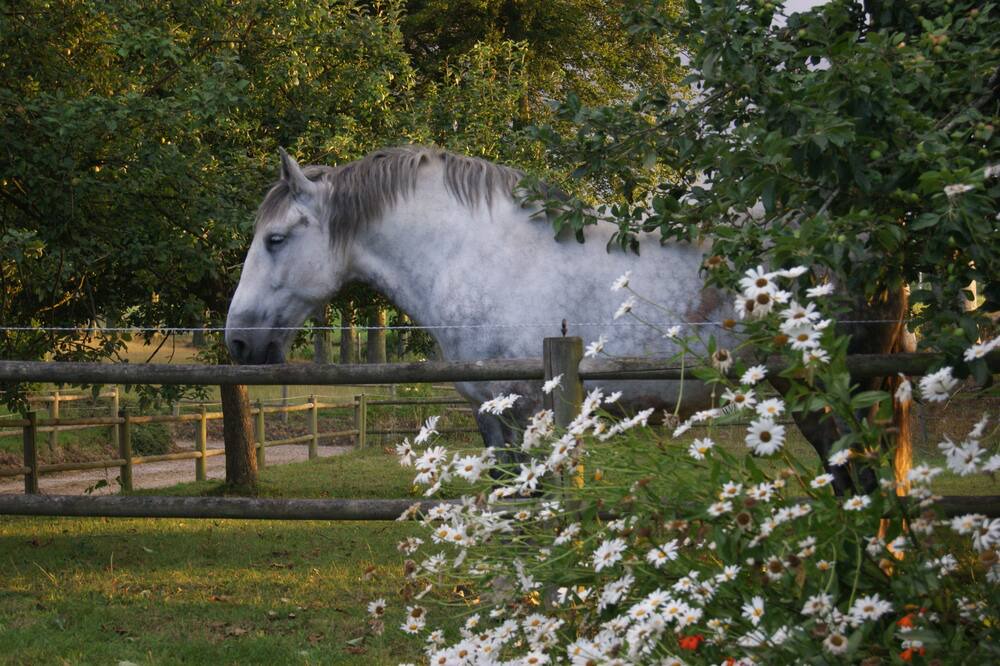 Photo of Outdoor in Bretteville-du-Grand Caux