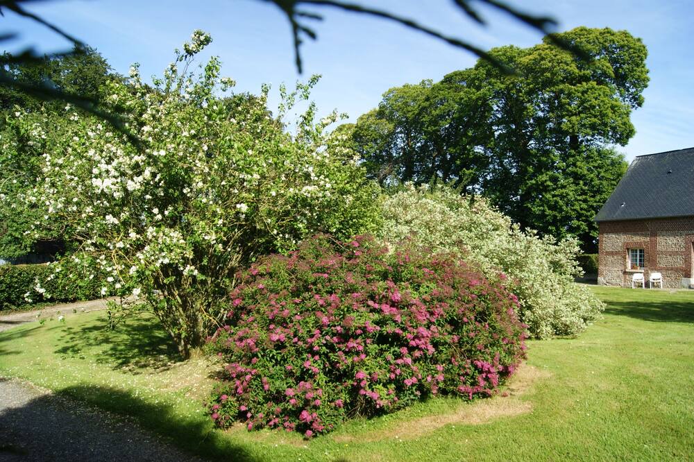 Photo of Outdoor in Bretteville-du-Grand Caux