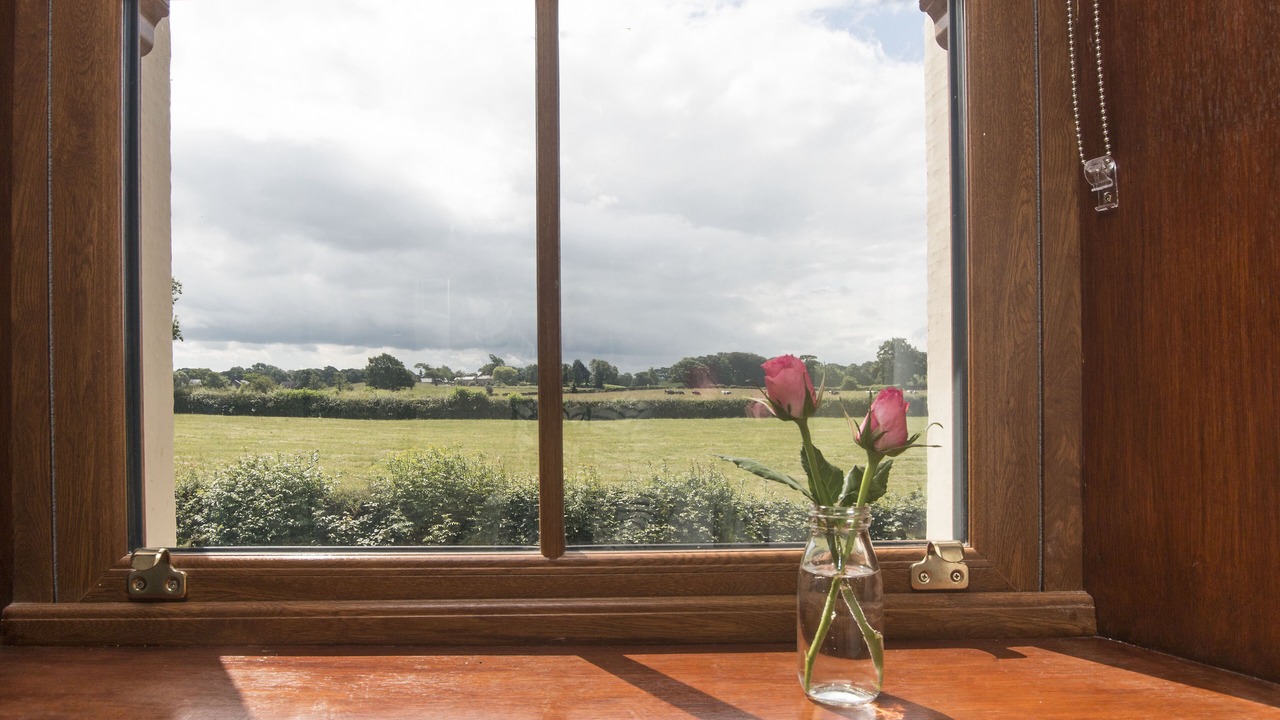 Photo of Others in Lancaster