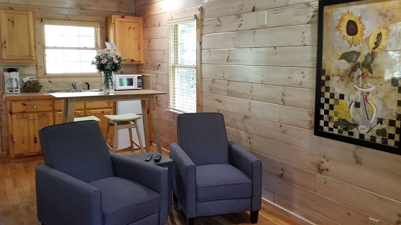 Photo of Livingroom in Galax