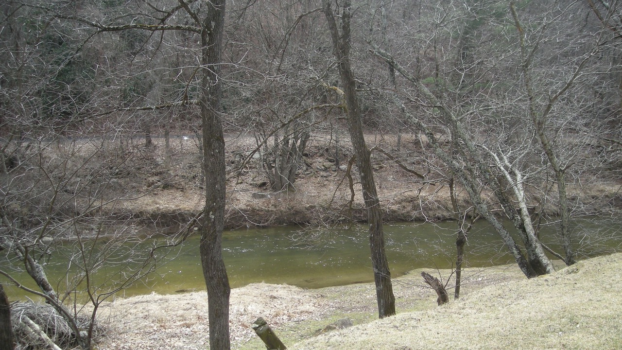 Photo of Others in Galax