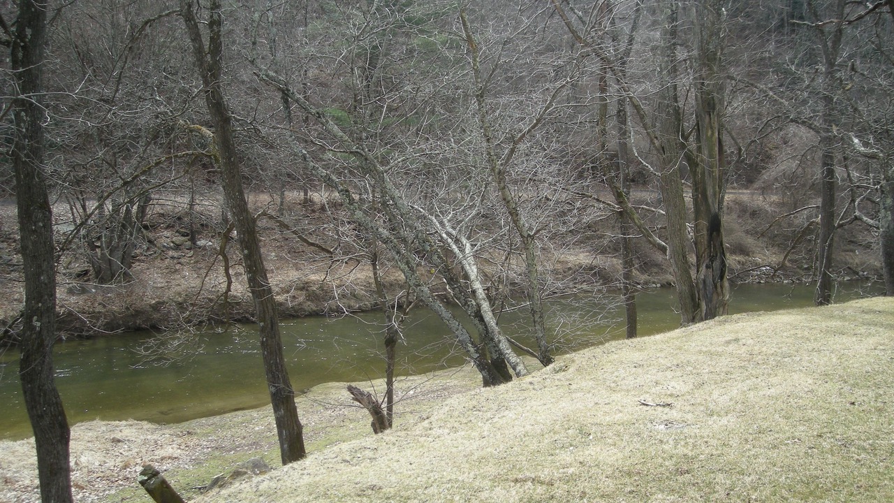 Photo of Others in Galax
