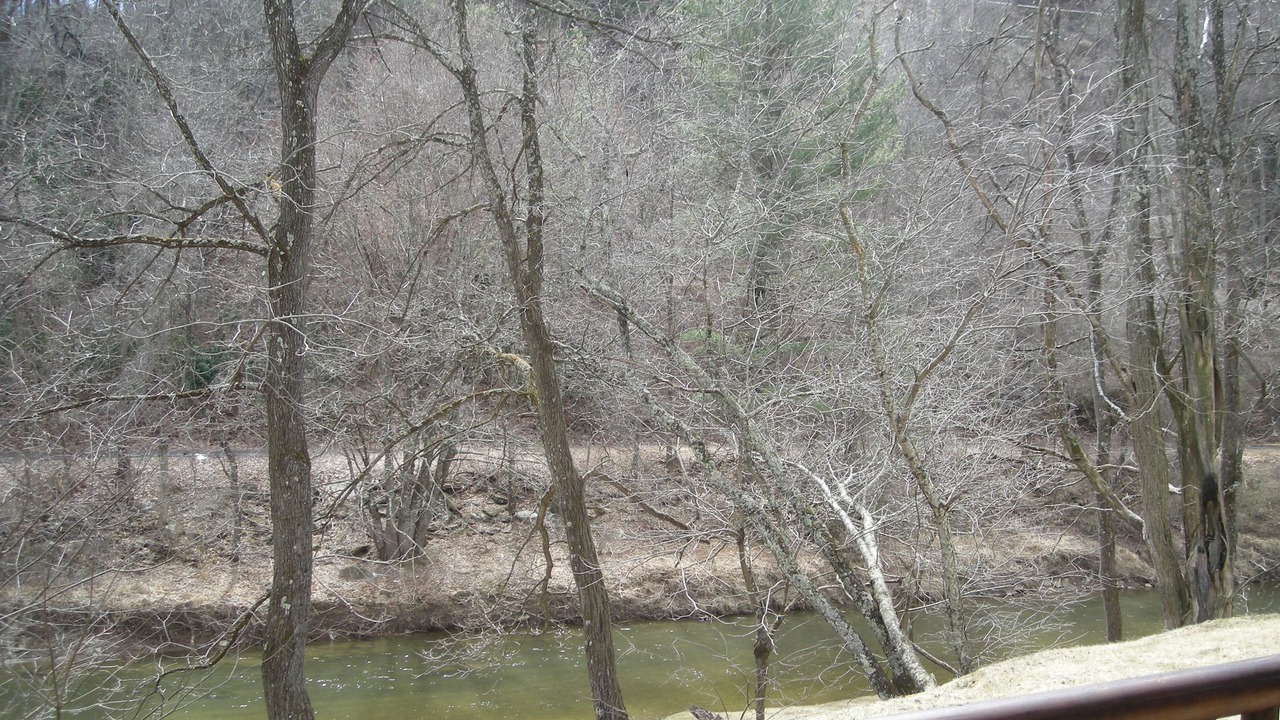 Photo of Others in Galax