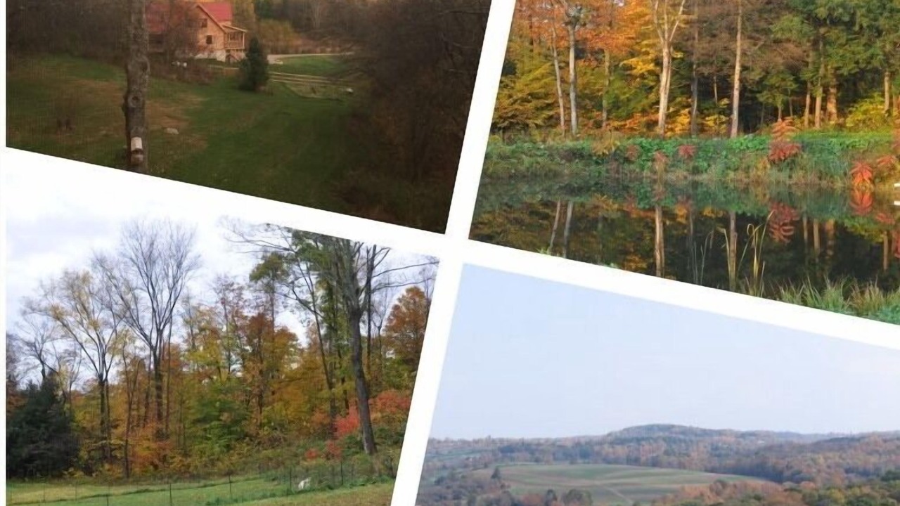 Photo of Outdoor in St. Johnsville