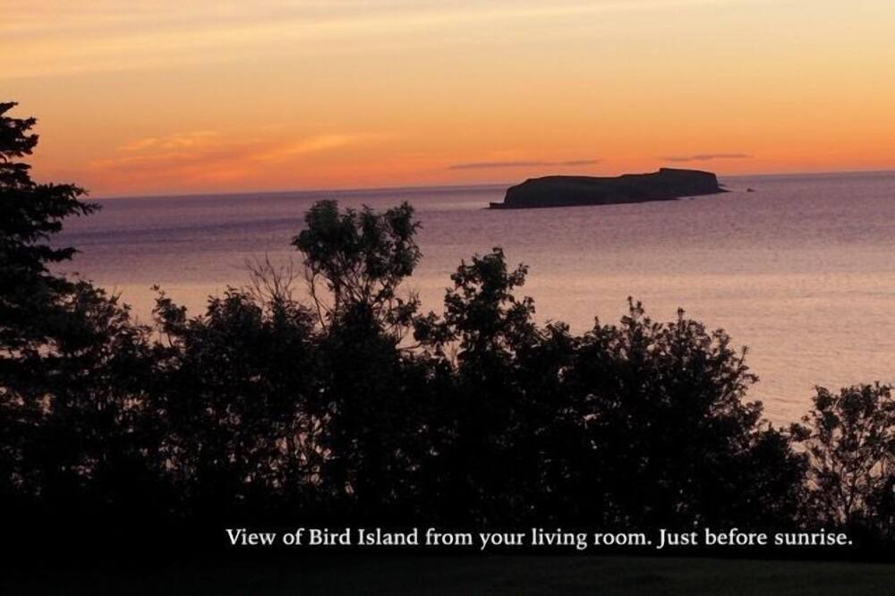 Photo of Others in Cape Dauphin