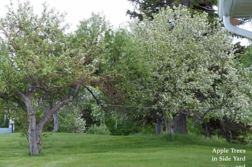 Photo of Outdoor in Cape Dauphin