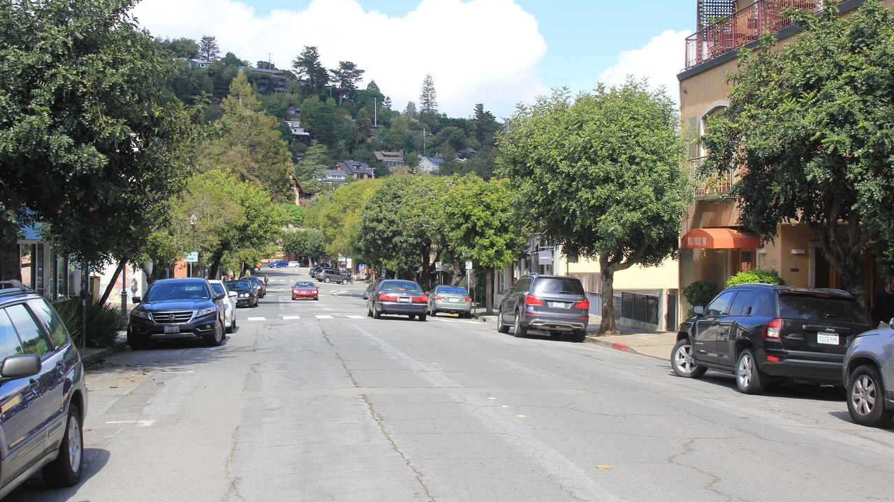 Photo of Outdoor in Mill Valley