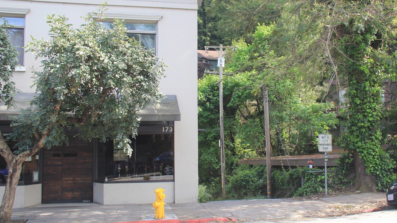 Photo of Outdoor in Mill Valley