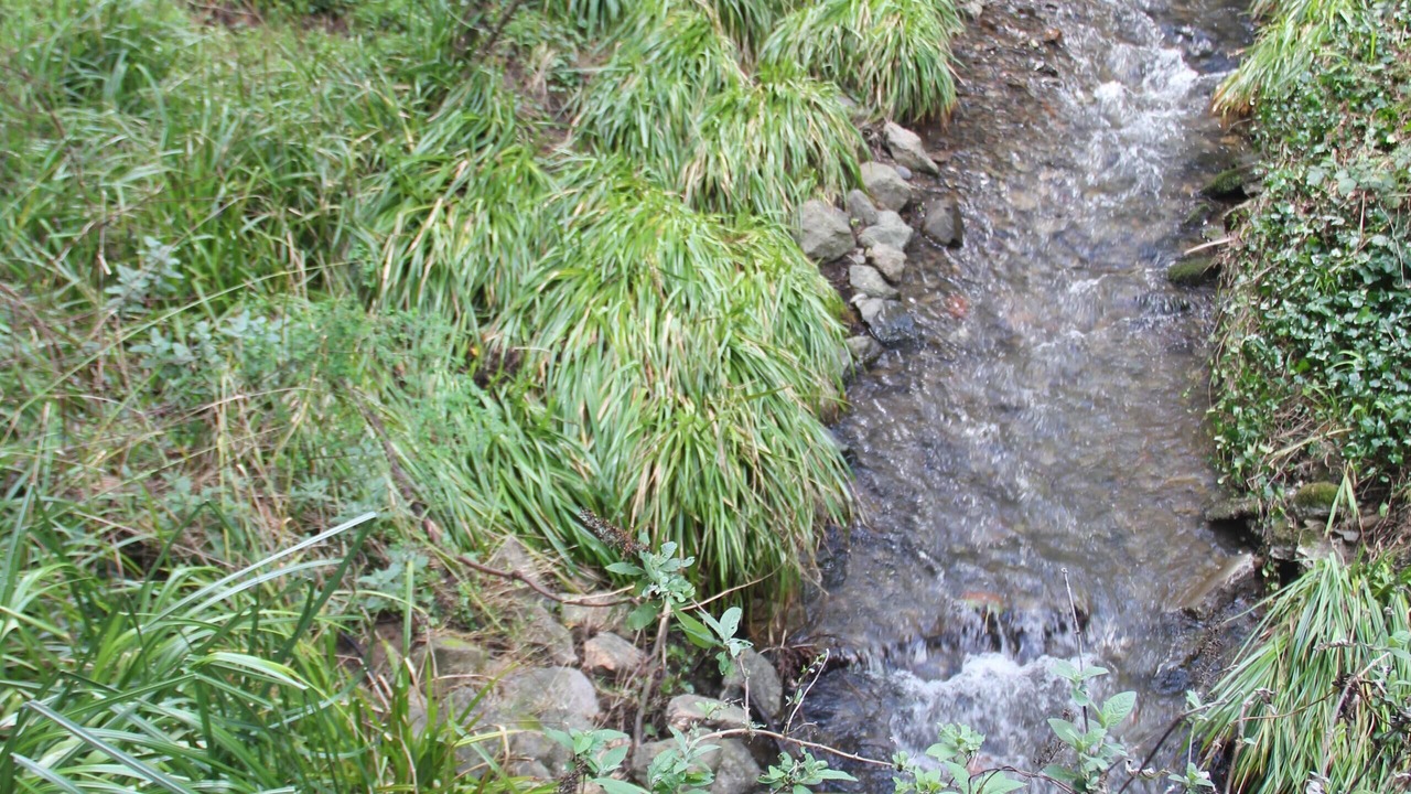 Photo of Outdoor in Mill Valley