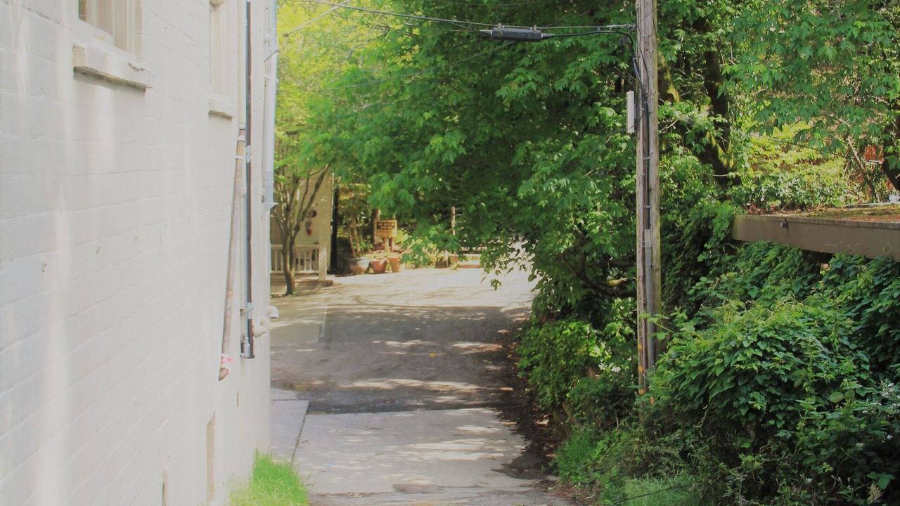 Photo of Outdoor in Mill Valley