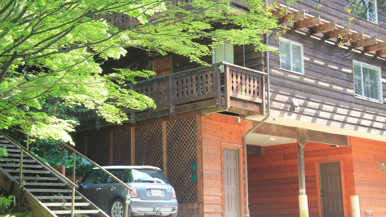 Photo of Outdoor in Mill Valley