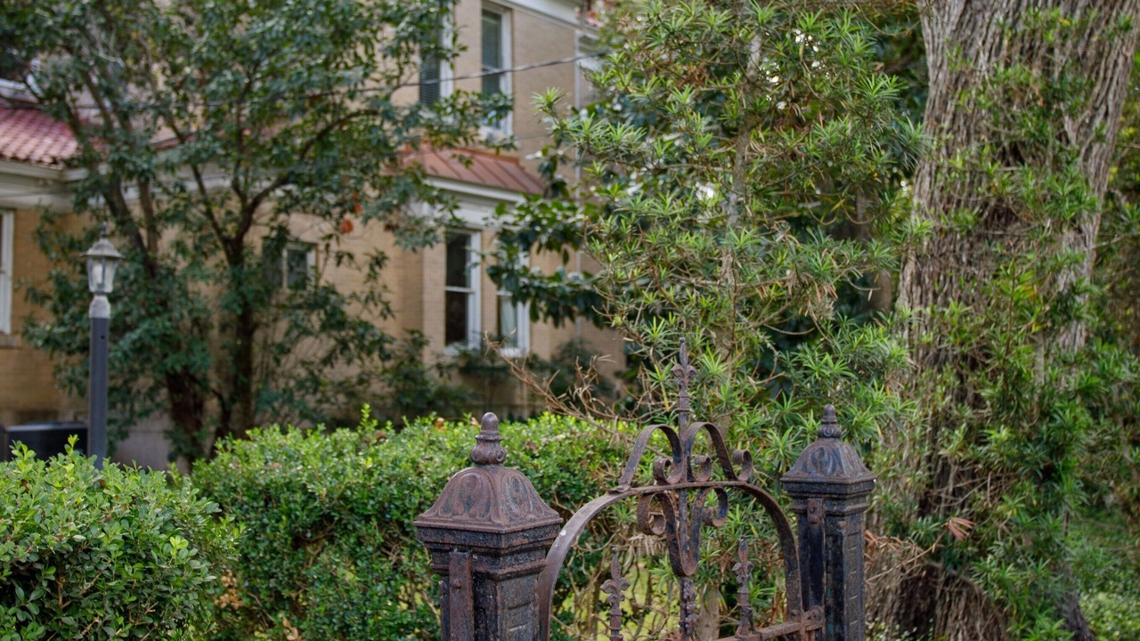 Photo of Outdoor in Gonzales