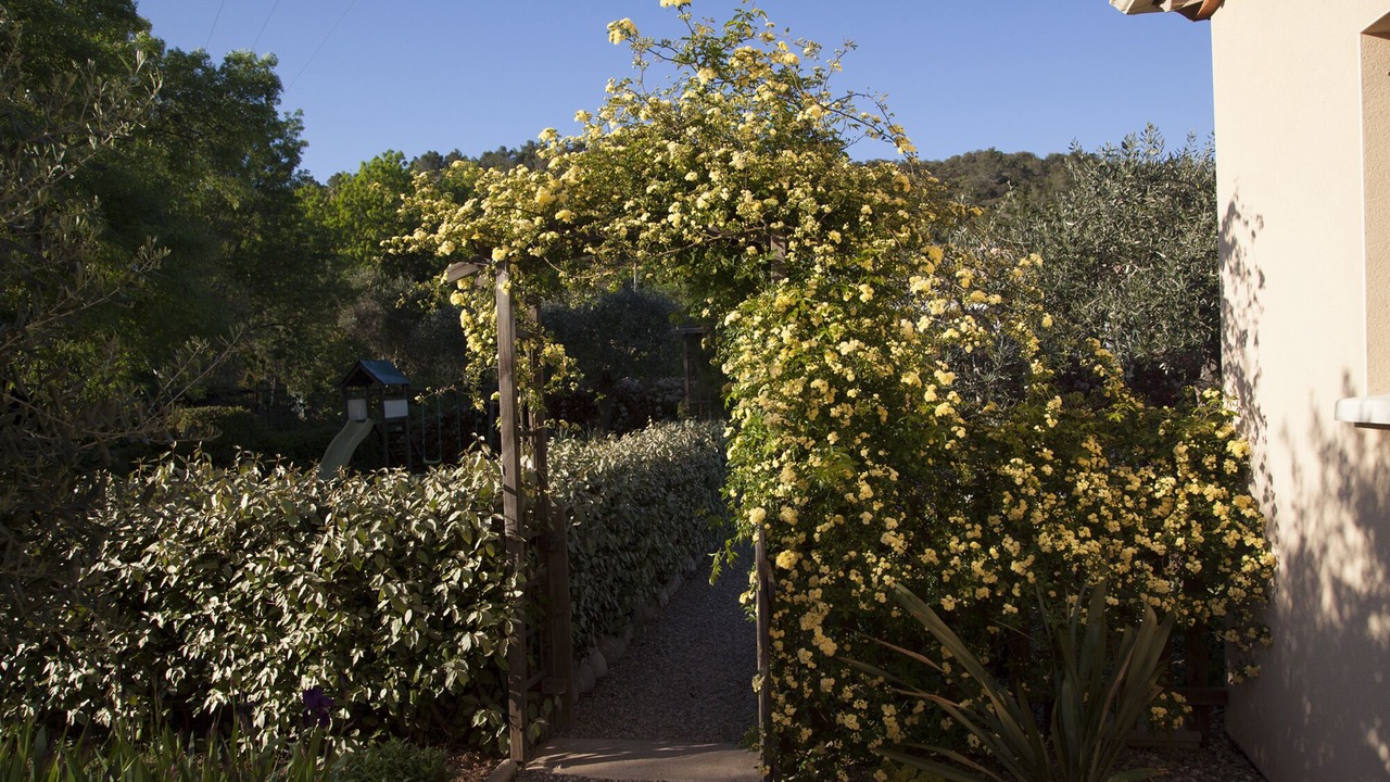 Photo of Outdoor in Cebazan
