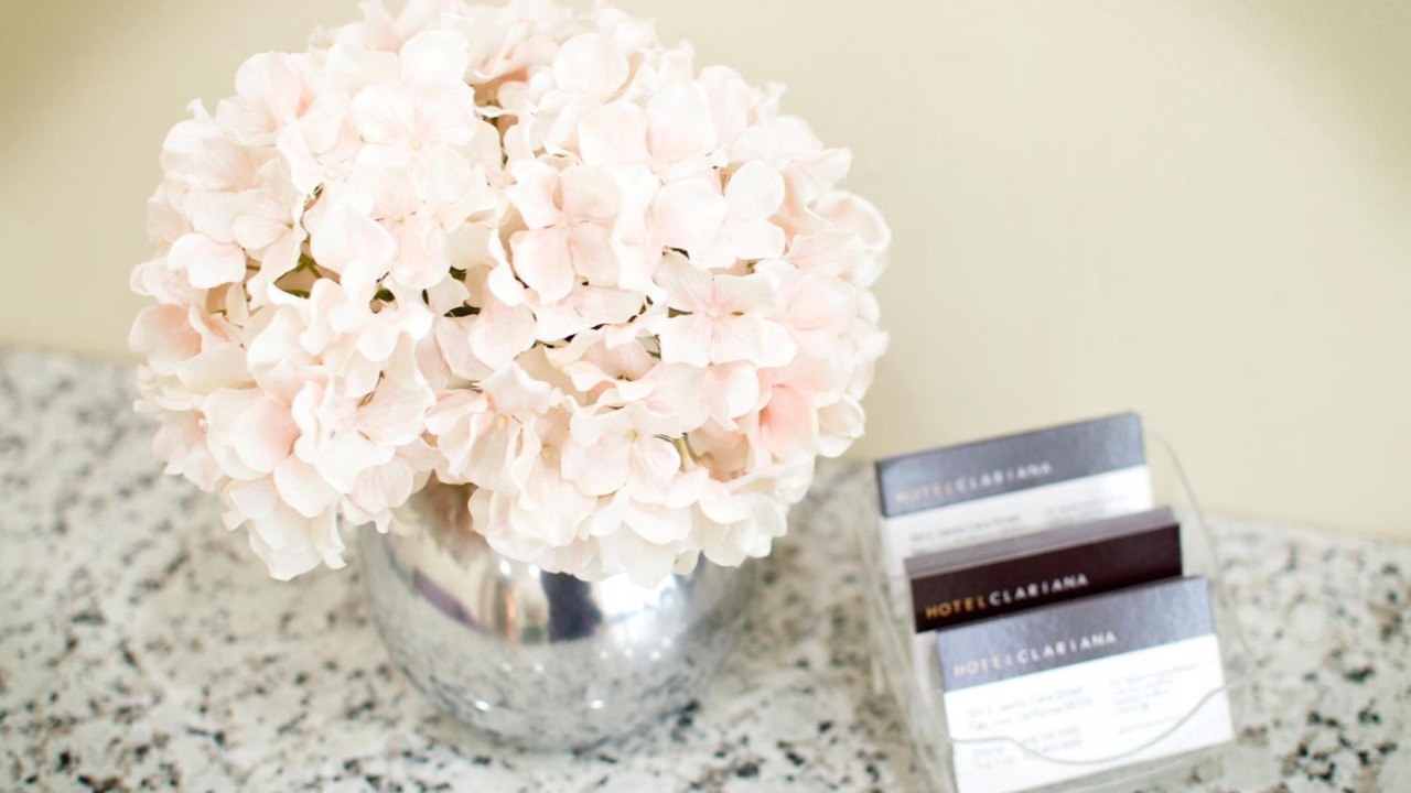 Photo of Others in Downtown San Jose