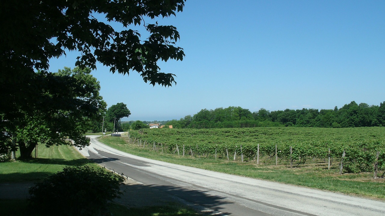 Photo of Others in Ripley